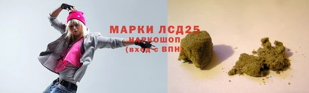 spice Ладушкин