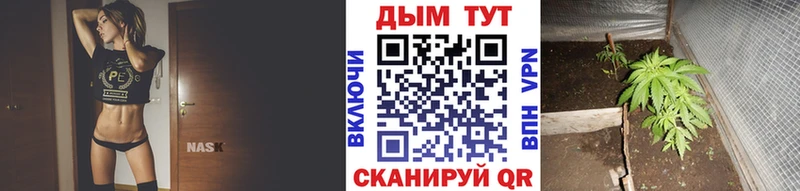 Бошки Шишки план  hydra ТОР  маркетплейс какой сайт  Нерчинск 